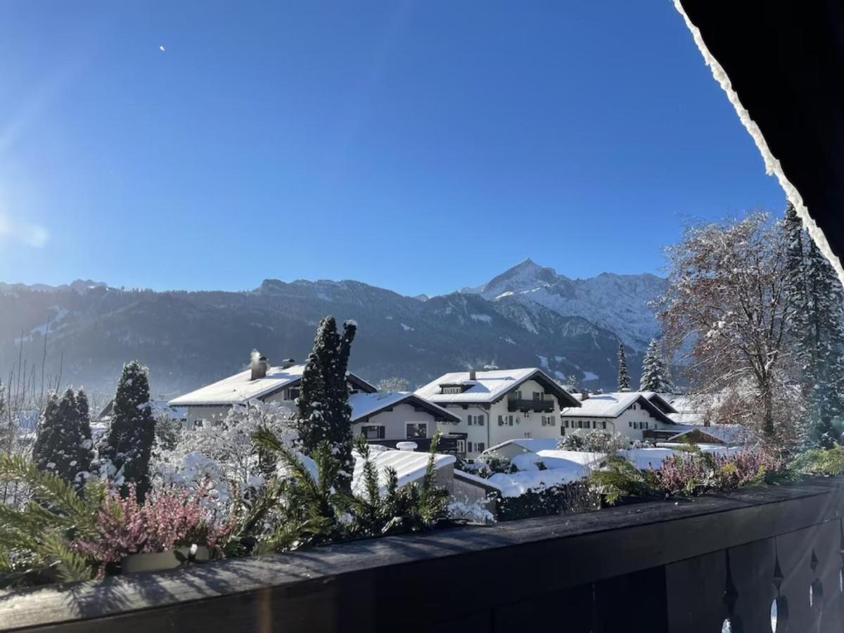 Aurikel * Garmisch-Partenkirchen