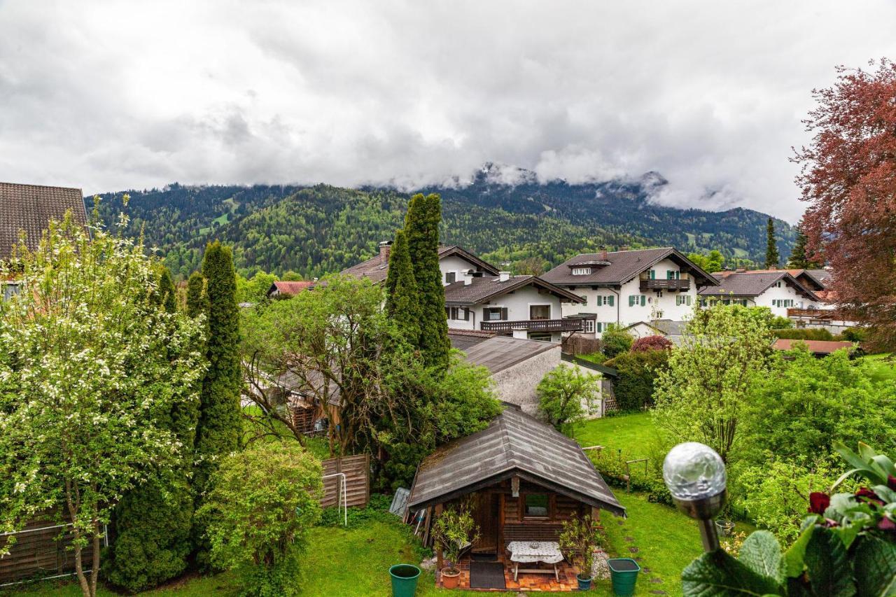 Aurikel * Garmisch-Partenkirchen